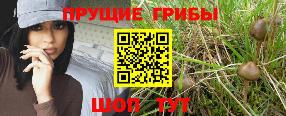 Галлюциногенные грибы мицелий  Вход с VPN  Лениногорск 